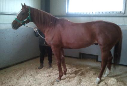 ����̵� ����