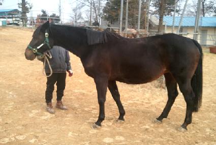 ��Į�����϶� ����