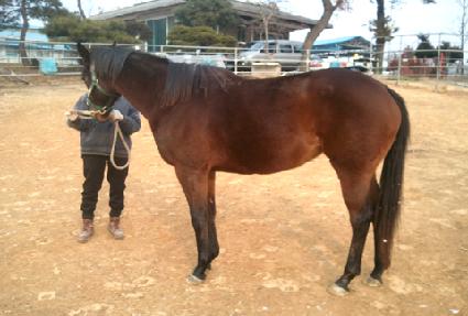 �帲���� ����