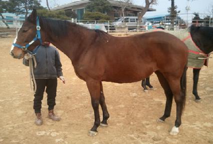 ������ ����