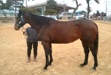 ���������̼� ����