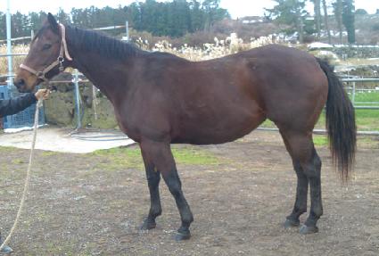 ���Ƽ�巹�̵� ����