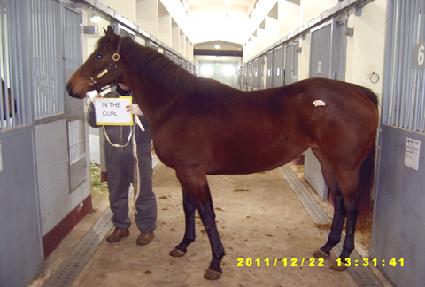 �δ��� ����