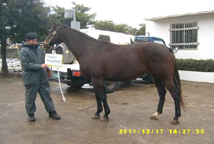 �ʰ�������Ʈ ����