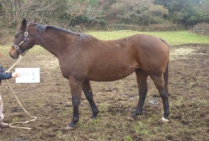 ġ��Ǯ ����