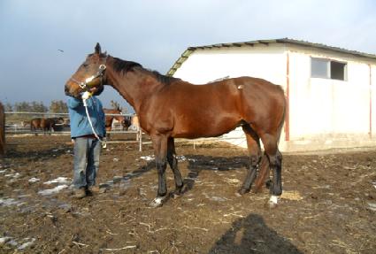 ��Ż����ġ ����