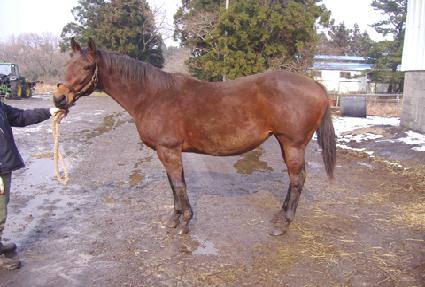 ��� ����