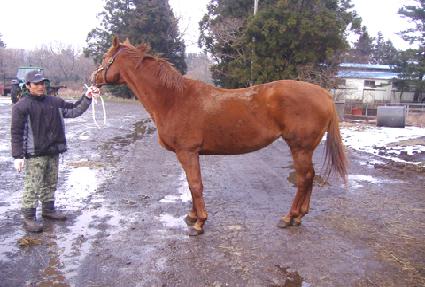 ��Ȧ�� ����