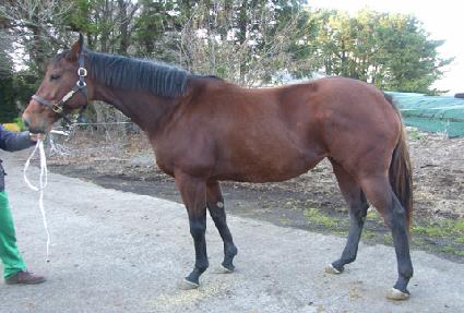 �ֳ���ҿ� ����