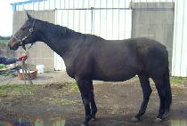 GREAT THOUGHT picture