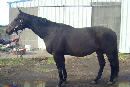 �׷���Ʈ��Ʈ ����