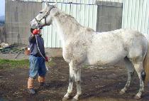 ����콬�����Ʈ (YOUKNOWSHESRIGHT) ����