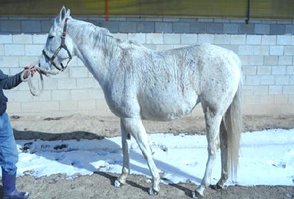 ������Ŀ�� ����