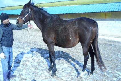 ������꿡�Ӷ��� ����