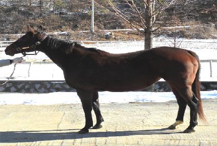 �����ľ� ����