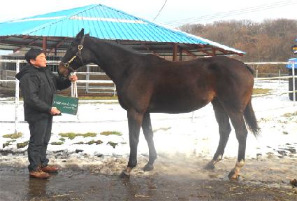 ���̵�������� ����