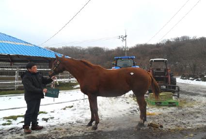 ���� ����