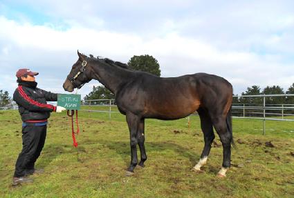 ��Ʈ����ũ����� ����