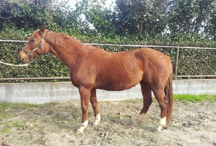 ���ͽý�ī�� ����