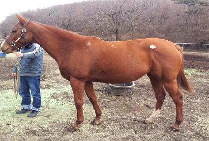 Ǯ�忩 ����