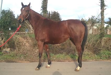 �׷���Ʈ���� ����