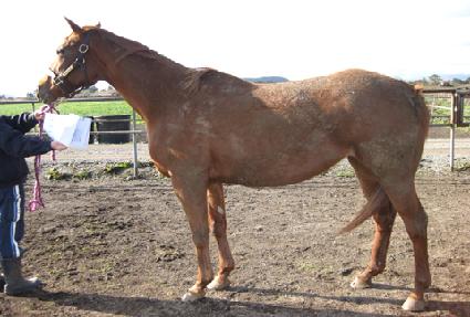 �����ǹ� ����