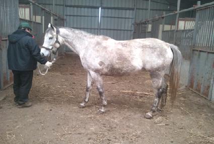 ��Ÿ���ƹ� ����