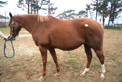 ����ƫ�� ����