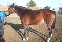 ���Ͼ� (UNION BELLE) ����