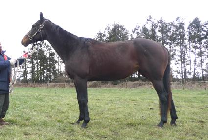 �ĵ縶�̽��� ����