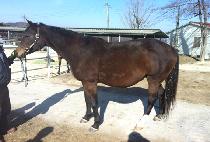 CONSTANT TOUCH picture