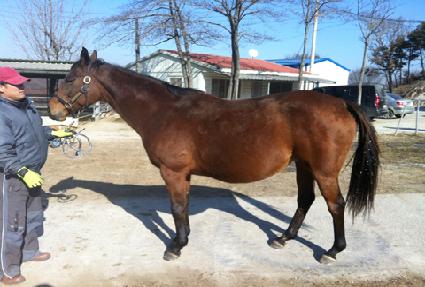 ����������ī�ϸ� ����