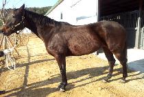 STREET ARTIST picture