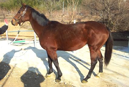 �������� ����