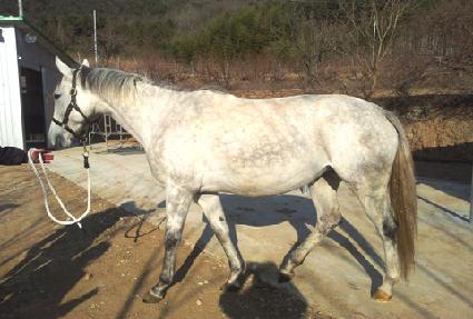 ������Ÿ�� ����