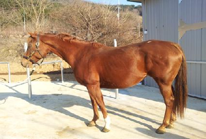 ��Ƽ�긮��Ʈ ����