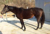 ��ƼǮũ������ (BEAUTIFUL CRAZY) ����