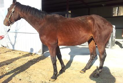 �ݾ�� ����