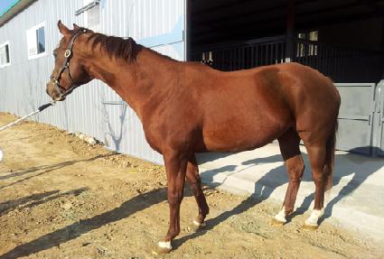 �ھ��� ����