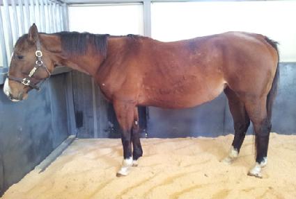 ���̾Ƹ����δ��� ����