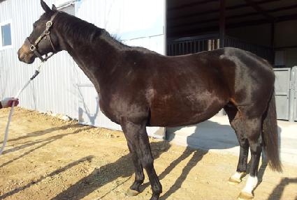 ���ϴ��÷��� ����