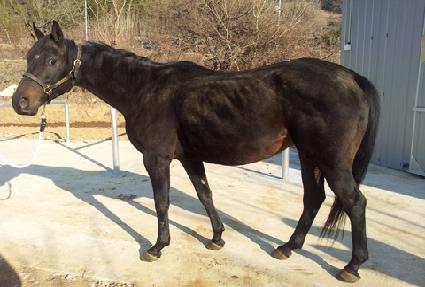 ����� ����