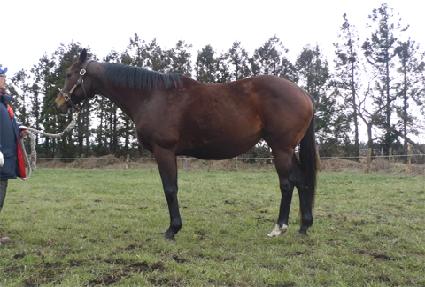 �����̺���Ʈ ����