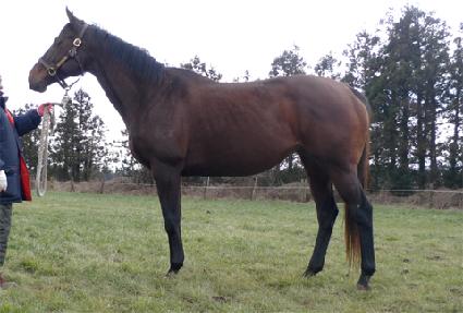 �۸����� ����