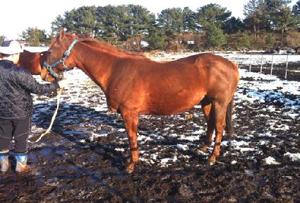 ����극��ŷ ����