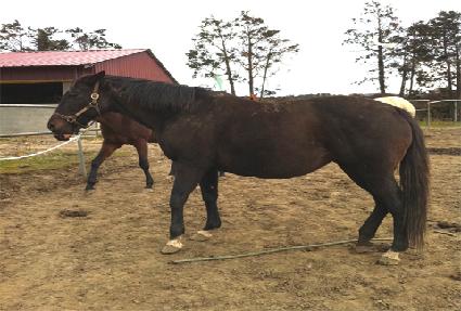 �𽺾�� ����