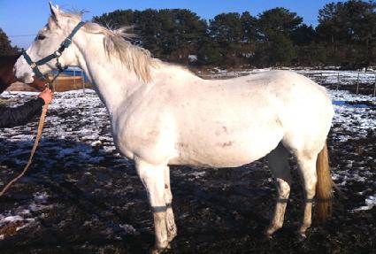 ���Ϸ� ����