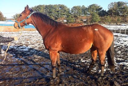 �귣����ũ ����