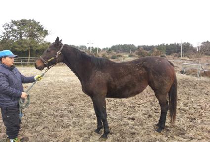 Ĺ�� ����