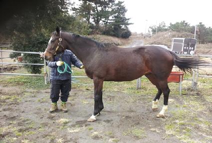 ��Ʈ��Ʈ��� ����